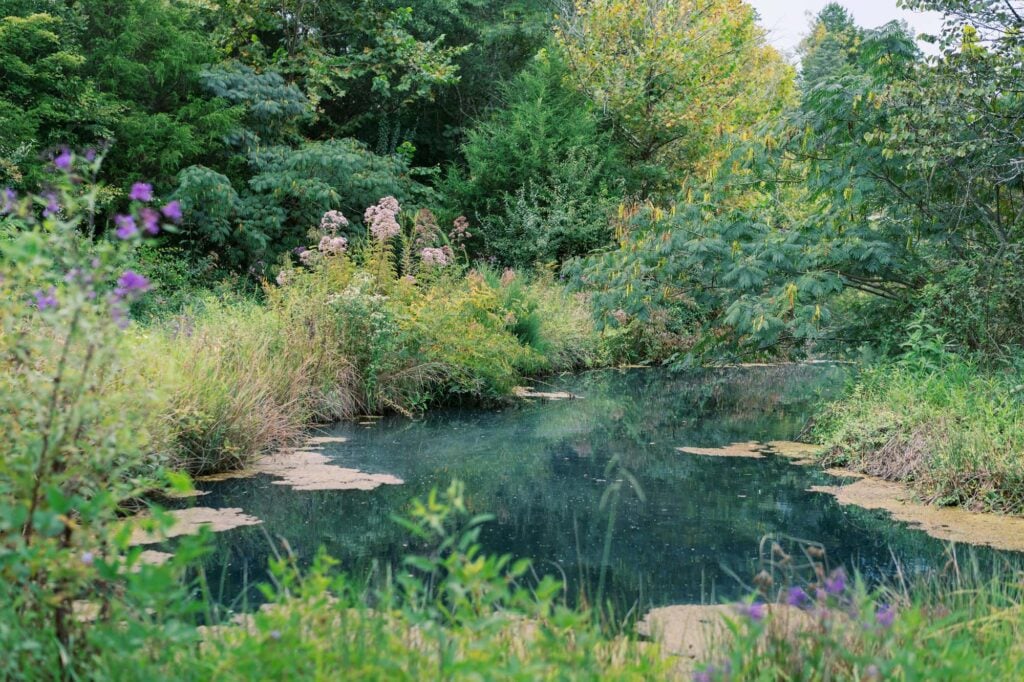 Ayoka Ranch Venue Maryville TN